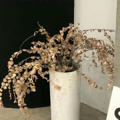 北仑福瑞交流群